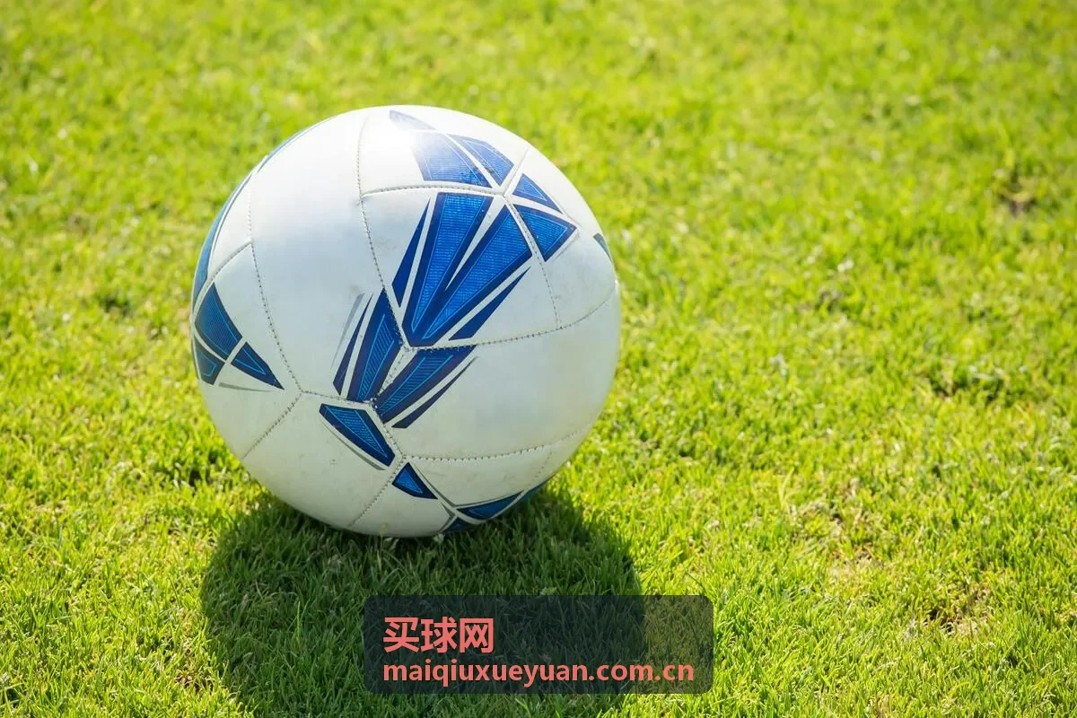 买球网品牌导购分类